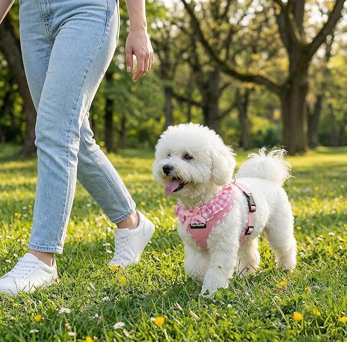 SuperBuddy Upgraded Soft Mesh Dog Harness, Super Breathable Lightweight Pet Harnesses for Puppy Dogs Outdoor Walking, Pink Dog Harness -Large