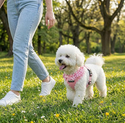 SuperBuddy Upgraded Soft Mesh Dog Harness, Super Breathable Lightweight Pet Harnesses for Puppy Dogs Outdoor Walking, Pink Dog Harness -Medium