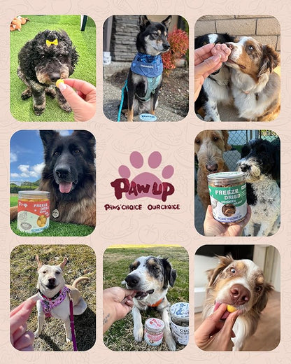 PAWUP Freeze Dried Duck Dog Food Topper – Sensitive Stomach & Hypoallergenic Formula, High Protein Grain-Free Dog Treats and Meal Topper for Picky Eaters, 14 oz