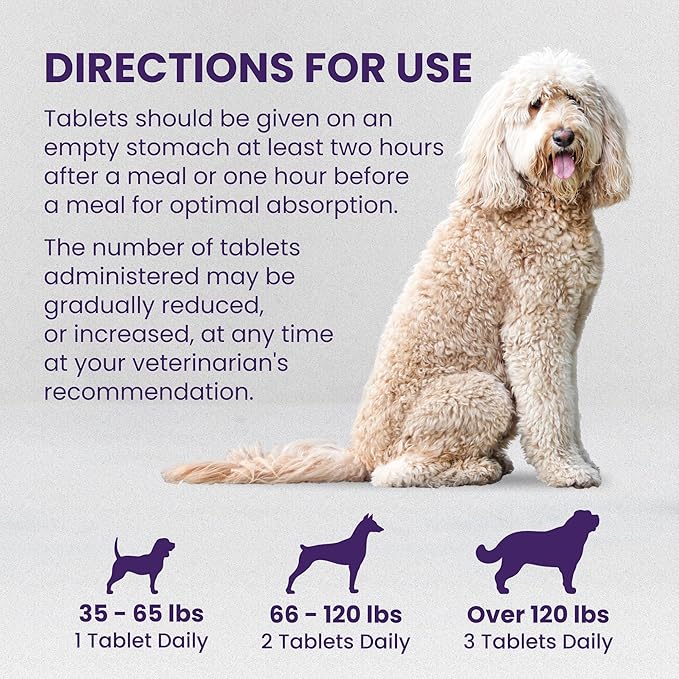Nutramax Denamarin for Large Dogs, Liver Health Supplement with S-adenosylmethionine (SAMe) plus Silybin, Liver Support for Dogs, Coated Tablets, 30 Count