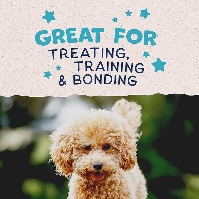 Natural Balance Limited Ingredient Mini-Rewards Turkey Grain-Free Dog Training Treats for Dogs | 5.3-oz. Canister (Pack of 2)