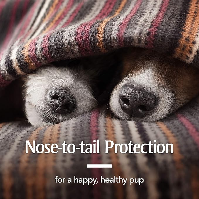 PetArmor Flea & Tick Collar for Dogs, Kills Fleas & Ticks, Long Lasting Protection for 6 Months, Water Resistant, One Size Fits All.