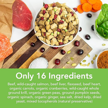 Simple Food Project - Beef & Salmon Recipe - Freeze Dried Raw Food for Dogs - 24oz