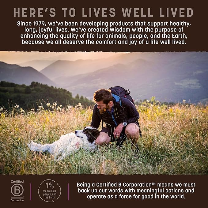 Earth Animal Wisdom Air Dried Dog Food - Turkey Recipe Premium Natural Dry Dog Food for All Breeds & Ages - 8 Lbs Bag