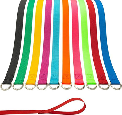 Slip Lead Dog Leash - 10 pcs Colorful 6 FT Short Dog Leashes with O-Ring for Small Large Dogs Puppy Cats Walking Training Running Rescues Grooming Shelter,etc.