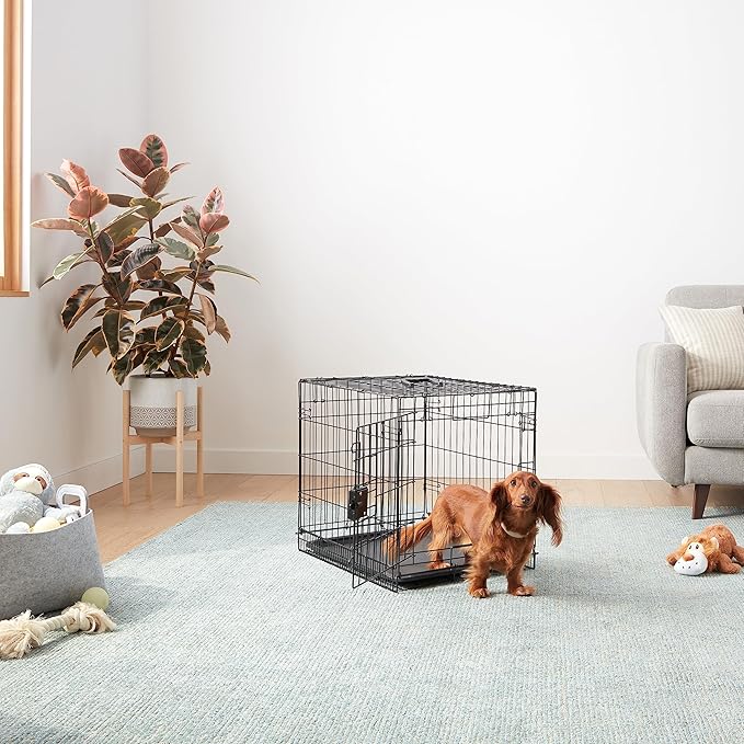 Amazon Basics Portable, Foldable Metal Wire Small Dog Crate with Removable Tray, Divider Panel, Single Door, Easy to Assemble, 24" x 18" x 20", Black