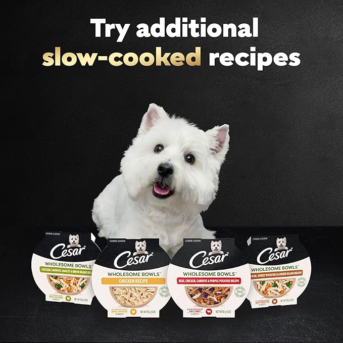 Cesar Wholesome Bowls Adult Wet Dog Food, Beef, Chicken, Purple Potatoes & Carrots, Wet Food for Dogs, 3 Oz. Bowls, 10 Count