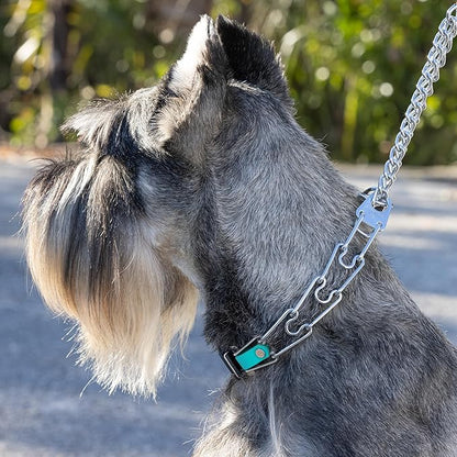 Herm Sprenger Chrome Plated Steel Dog Collar with Quick Release ClicLock Buckle and Biothane Insert Training Collar for Dogs Made in Germany (Sky Blue, 23in x 3.2mm(Neck Size up to19-20in))
