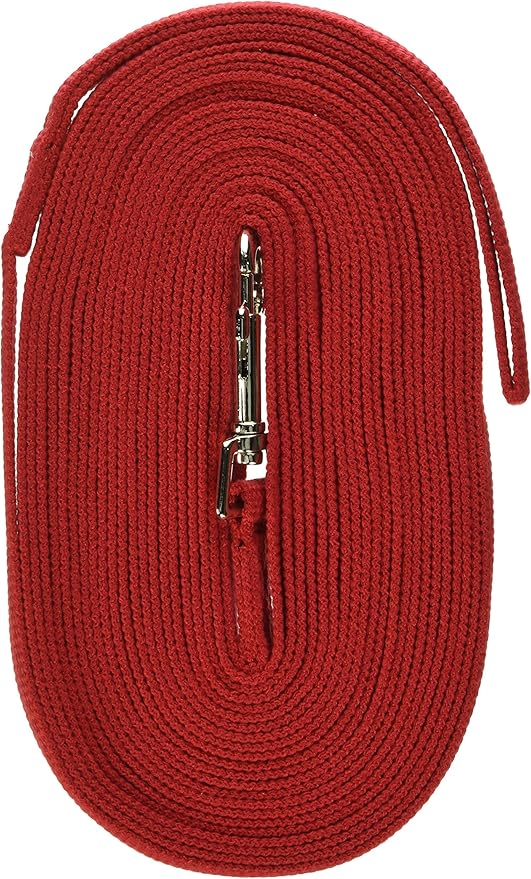 Guardian Gear Cotton Web Training Lead 30 Ft Red
