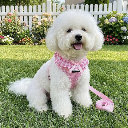 SuperBuddy Upgraded Soft Mesh Dog Harness, Super Breathable Lightweight Pet Harnesses for Puppy Dogs Outdoor Walking, Pink Dog Harness and Dog Leash Set Packing -XSmall