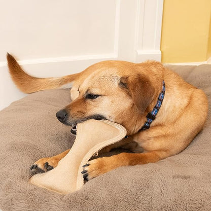 SPOT Dura-Fused Leather Bone- Durable Dog Toy with Squeaker, Real Leather & Jute Fabric, Interactive Toy for Moderate & Aggressive Chewers, Medium & Large Dogs and Puppies, 9 inch