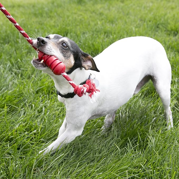 KONG Dental with Rope- for Dog Dental Care - Stuffable Chew Toy - Provides Chewing Outlet & Satisfies Instinctual Needs - Cleans Teeth & Gums - Made with Durable Natural Rubber - for Medium Dogs