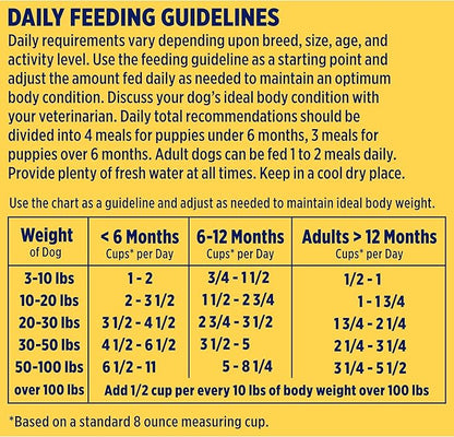 Natureâ€²s Recipe Grain Free Salmon, Sweet Potato & Pumpkin Recipe Dry Dog Food, 4 lb. Bag (Pack of 2)