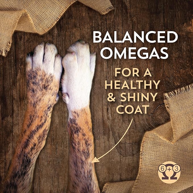 Wholesomes Sensitive Skin & Stomach with Salmon Protein Dry Dog Food 30 lb