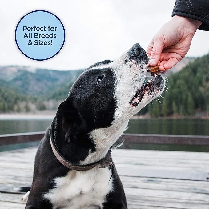 Natural Balance Limited Ingredient Rewards Jumpin' Stix, Grain-Free Dog Treats for Adult Dogs of All Breeds, Venison Recipe, 4 Ounce (Pack of 2)