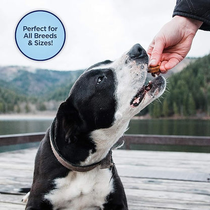 Natural Balance Limited Ingredient Rewards Jumpin' Stix, Grain-Free Dog Treats for Adult Dogs of All Breeds, Venison Recipe, 4 Ounce (Pack of 2)