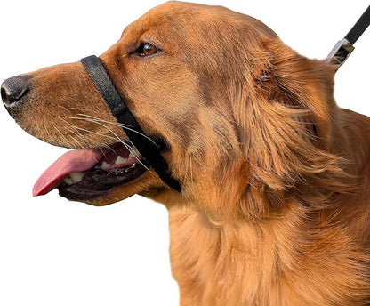 PetsProMax No-Pull Dog Headcollar for Small Dogs; Instant Stop Pulling; Gentle Training Collar for Dogs; Comfortable, Safe, and Effective Walking/Training Solution (Black, S)