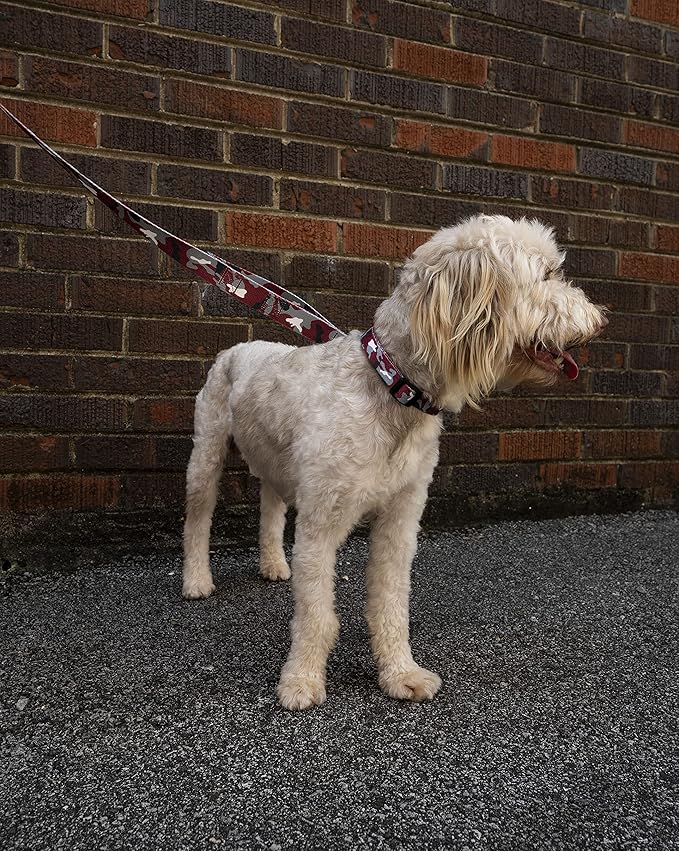 Country Brook Petz - Crimson and White Camo Everyday Dog Collar and Leash - Sports and Athletics Collection Featuring Spirited Designs (1/2 Inch, Extra Small)