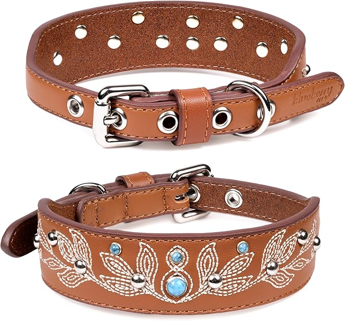Blueberry Pet Western Dog Collar in Canyon Brown - 12-15 Inch Necks Floral-Embroidered Leather with Turquoise Studs, Adjustable