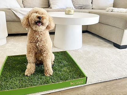 DoggieLawn Real Grass Puppy Pee Pads- 24 x 9 Inches - Perfect Indoor Litter Box for Dogs - No Mess, Easy-to-Use - Potty Training for Pets - Eco-Friendly Disposable Bathroom with Real Living Grass