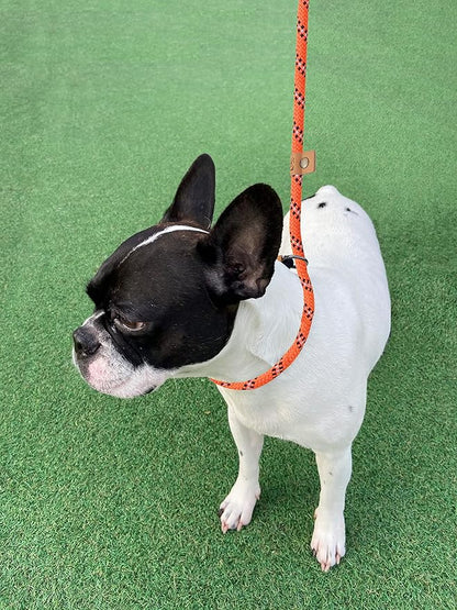 5 FT Slip Lead Dog Leash, Heavy Duty Rope Leash for Small Medium Large Dogs, No Pull Training Lead with Reflective Thread, Strong Comfortable Loop Leash (Orange Stripe, Medium(3/8"))