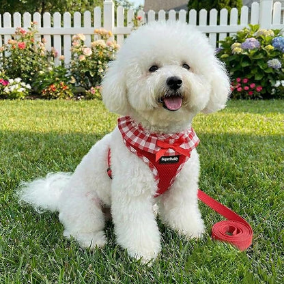 SuperBuddy Upgraded Soft Mesh Dog Harness, Super Breathable Lightweight Pet Harnesses for Puppy Dogs Outdoor Walking, Red Dog Harness and Dog Leash Set Packing -Medium
