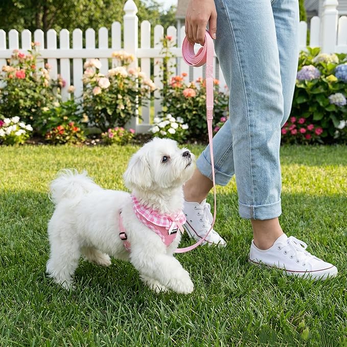SuperBuddy Upgraded Soft Mesh Dog Harness, Super Breathable Lightweight Pet Harnesses for Puppy Dogs Outdoor Walking, Pink Dog Harness and Dog Leash Set Packing -Medium
