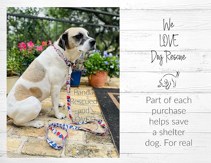 Lucky Love Dog Martingale Collar, Premium Fun Girl No Slip Collars, Strawberry Martingale Small Dog Collar, Great for Whippets, Greyhounds, and More (Sweet Berry, Small)