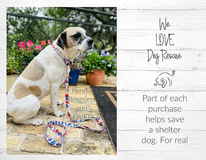 Lucky Love Dog Martingale Collar, Premium Fun Girl No Slip Collars, Strawberry Martingale Small Dog Collar, Great for Whippets, Greyhounds, and More (Sweet Berry, Small)