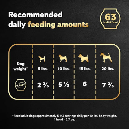 Cesar Warm Bowls Wet Dog Food Roasted Chicken Entree with Sweet Potatoes & Broccoli in Broth, Wet Food for Dogs, 2.7 oz. Bowls, 10 Count