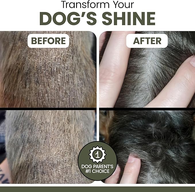 Pure Cod Liver Oil for Dogs - 16 oz - Contains Omega 3, Omega 6, Vitamin A, and Vitamin D to Reduce Itching and Promote Skin and Coat, Heart, Joint, and Immune Health - Pump Cap Bottle