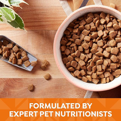 Nature’s Recipe Grain Free Chicken, Sweet Potato & Pumpkin Recipe Dry Dog Food, 24 lb. Bag
