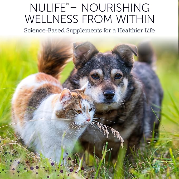 NuLife Hepato Support - Liver Support for Dogs and Cats with Silymarin - Contains Milk Thistle for Dogs & Cats and Vitamin B Complex (B1, B2, B6, B12) - Promotes Canine & Feline Hepatic Health - 90ct
