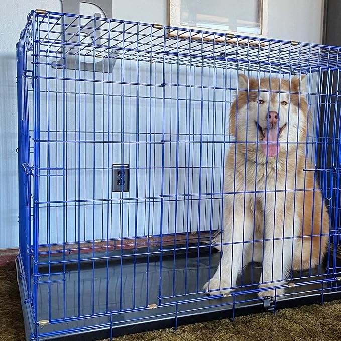 PET Expressions Luxury Colorful 48 Inch Foldable Dog Crate with 2 Doors | Free Training Ebook and Pet Calming Music | 3 Colors & 3