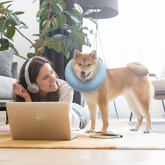 Big Ant Protective Inflatable Collar for Dogs and Cats, Soft Cone for Dogs After Surgery, Dog Neck Donut Collar, Dog Cone Collar Soft Pet Recovery Collar Does Not Block Vision E-Collar (Large, Blue)