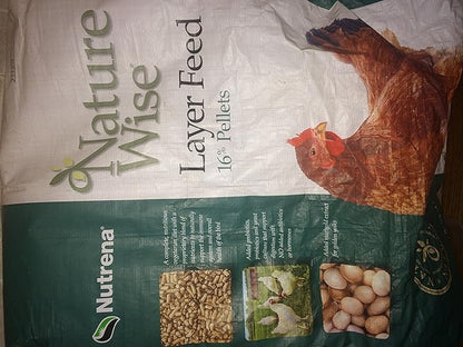 1000ct Live Mealworms, Reptile, Birds, Chickens, Fish Food (Medium)