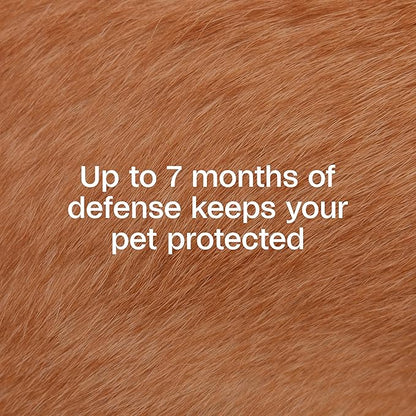 ADAMS Plus Flea & Tick Collar for Small Dogs, Flea Collar for 7-Month Prevention, Adjustable Collar Fits Small Dogs & Puppies, Kills Fleas & Ticks, 1 Count
