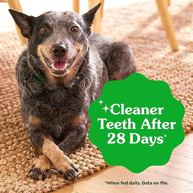 Greenies Veterinarian-Recommended Adult Natural Dental Dog Treats Petite Size, Dog Dental Chews, Original Flavor, 3 oz. Pack, 5 Count