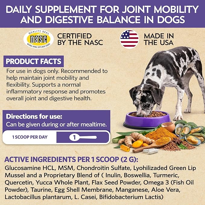 Fidobiotics Hip & Joint Support for Dogs with Probiotics – Glucosamine, Chondroitin, MSM & Green Lipped Mussel – Dog Joint Supplement Powder Food Topper for Mobility & Digestion (20 Servings)