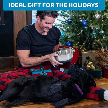 Master Pet Supply Stainless Steel Dog Bowls Set of 2 with Extra Thick Silicone Base - 4 Cup (32 oz) Graphite, Non-Slip, Dishwasher Safe Metal Bowls, Pet Dog Food Bowl for Dogs, Cats, Anti Rust