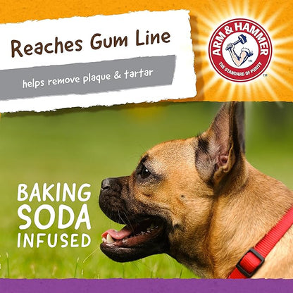 Arm & Hammer for Pets Super Treadz Mini Gator Dental Chew Toy for Dogs Best Dental Dog Chew Toy Dog Dental Chew Toys Reduce Plaque & Tartar Buildup Without Brushing (Pack of 1)