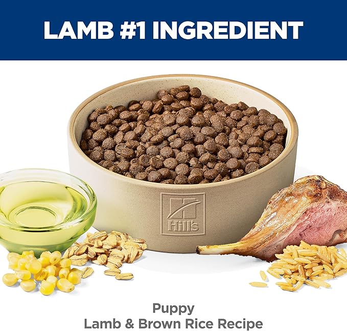 Hill's Science Diet Puppy Dry Dog Food, Lamb Meal & Brown Rice, 12.5 lb. Bag