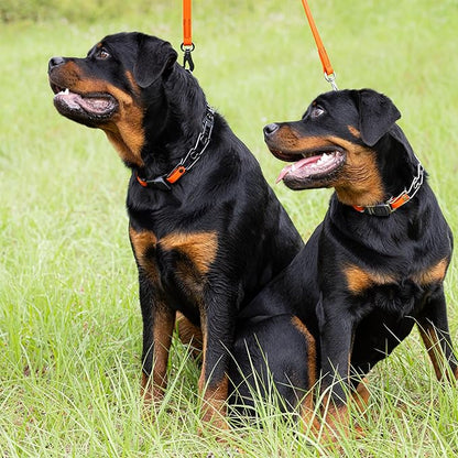 Herm Sprenger Black Stainless Steel Dog Collar with Quick Release ClicLock Buckle O-Ring Biothane Insert Training Collar Made in Germany (Hunter Orange, 23in x 3.2mm(Neck Size up to19-20in))