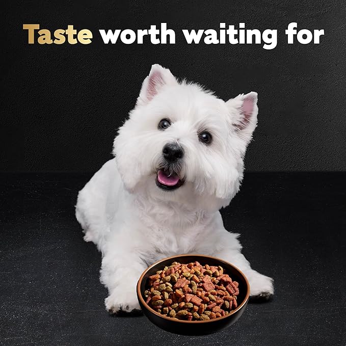 Cesar Small Breed Dry Dog Food for Small Dogs, Filet Mignon Flavor and Spring Vegetables Garnish, 5 lb Bag