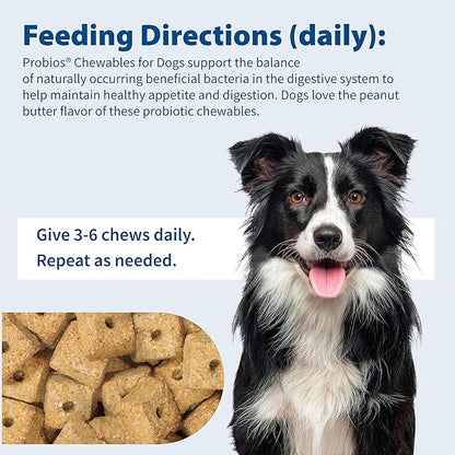 Probios Digestive Support Chewables for Dogs, Daily Probiotic Supplement for Gut Health, Digestion & Immune Support, 1 lb (Pack of 2)