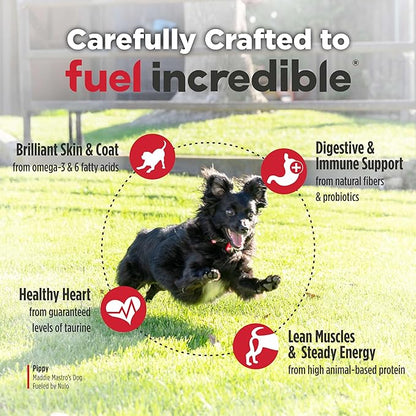 Nulo FreeStyle Small Breed Dog Food Dry - Salmon & Lentils, Puppy & Adult Grain Free Dog Food, Natural, High Protein, Smaller Sized Kibble with BC30 Probiotic for Healthy Digestion Support, 6lb Bag