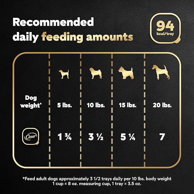 Cesar Filets in Gravy, Adult Wet Dog Food, Filet Mignon Flavor, Wet Food for Dogs, 3.5 oz Trays, 24 Count