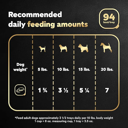 Cesar Filets in Gravy, Adult Wet Dog Food, Prime Rib Flavor, Wet Food for Dogs, 3.5 oz Trays, 24 Count