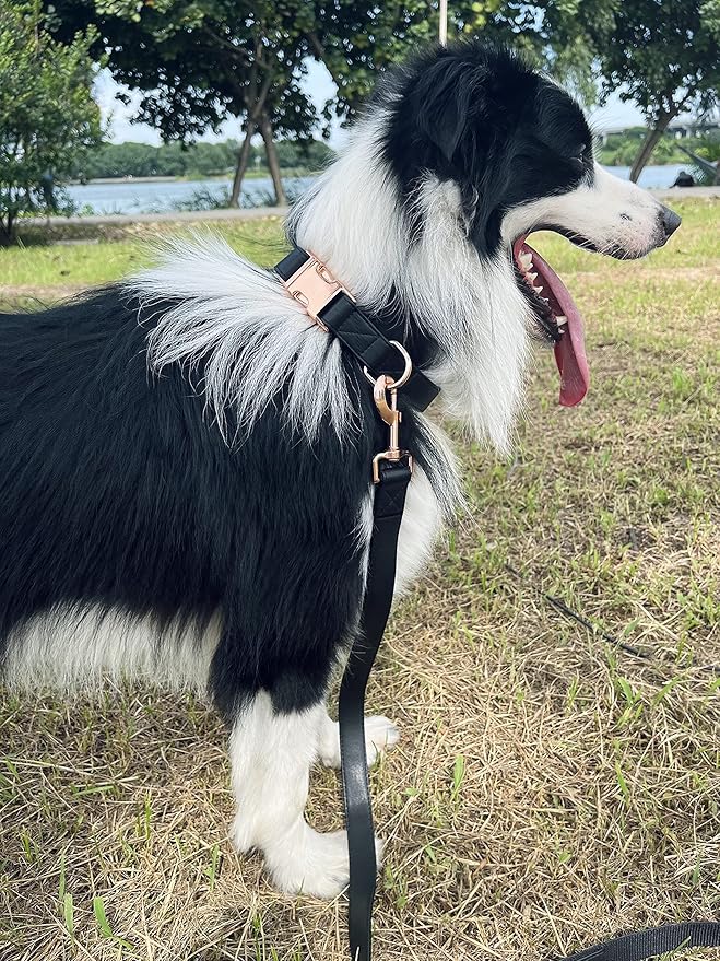 Dog Collar and Leash Set.Soft and Easy to Clean Vegan Leather with Rose Gold Metal Buckle for Small Medium Large Dogs (Black, M(13.8"-19.7"))
