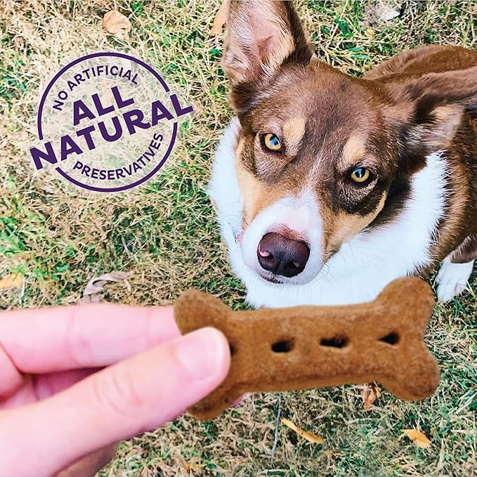 Old Mother Hubbard Wellness P-Nuttier Dog Biscuits,Natural,Training Treats,Peanut Butter Flavor,Large Size,(6 Pound Box),(Pack of 2)
